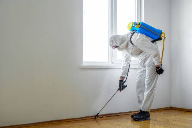 Best Pest Prevention Services  in Itasca, IL